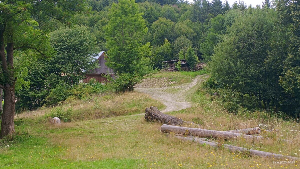 Polana na osiedlu Świstok