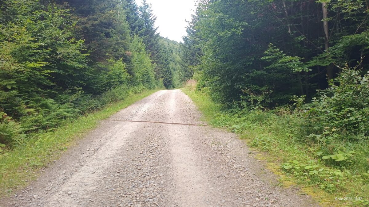 Szlak niebieski, droga szutrowa w stronę przełęczy pod Małym Krzystonowem