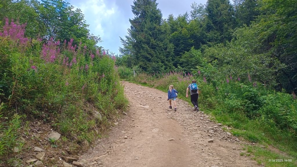 Baza Namiotowa Lubań szlak